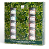 Coffret "Maxi-Essentiel" de thés - QUAI SUD