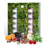 Coffret "Maxi-Essentiel" de thés - QUAI SUD