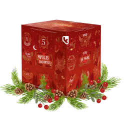 CALENDRIER DE L'AVENT SALÉ...
