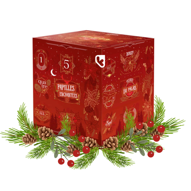 CALENDRIER DE L'AVENT SALÉ 780G - LE COMPTOIR DE MATHILDE