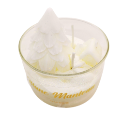 2 MÈCHES BLANC MANTEAU - PEAU D'ÂNE