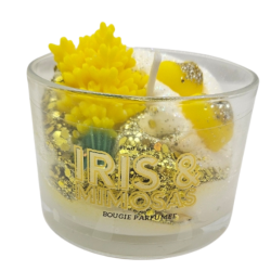 IRIS ET MIMOSA FDM - PEAU...