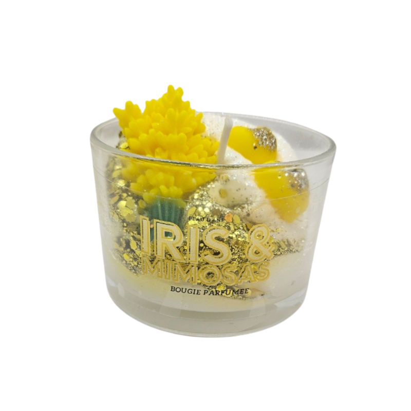 IRIS ET MIMOSA FDM - PEAU D'ANE