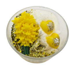 IRIS ET MIMOSA FDM - PEAU D'ANE