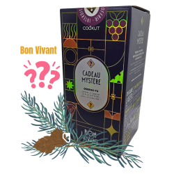 CADEAU MYSTERE 2025 - THEME...
