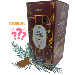 CADEAU MYSTERE 2025 - THEME...
