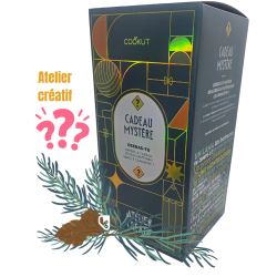 CADEAU MYSTERE 2025 - THEME...