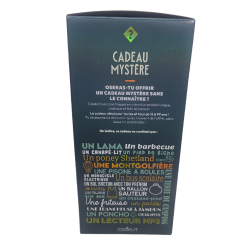 CADEAU MYSTERE 2025 - THEME "ATELIER CREATIF" - COOKUT
