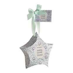 ÉTOILE SURPRISES PARFUMÉES - FÊTE NACRÉE - SAPIN GIVRÉ - MATHILDE. M