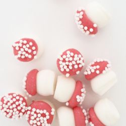 DÉCORS SUCRÉS "GROS CHAMPIGNONS" 25G - SCRAPCOOKING