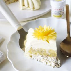 MOULE 3D CÉLESTE - SCRAPCOOKING