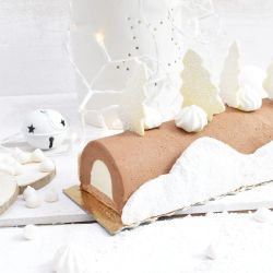 2 MOULES BÛCHE CLASSIQUE PET RECYCLÉ - SCRAPCOOKING