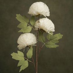 FLORA ALBA TRIPLE POMPOMS...