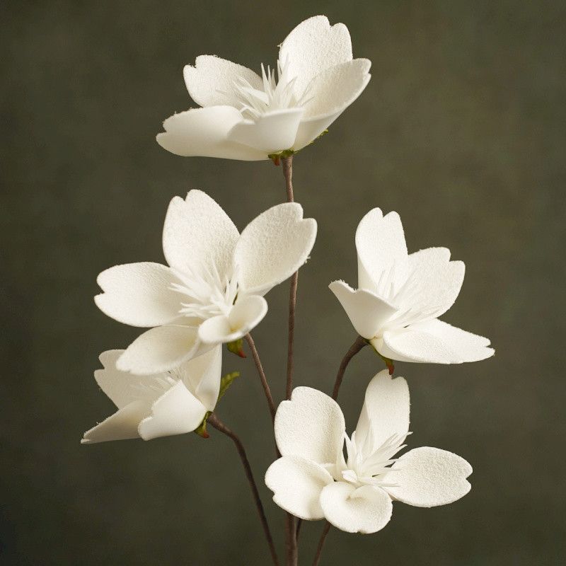 FLORA CHARLENE BRANCHES 5 FLEURS BLANCHES - HOME EDELWEISS