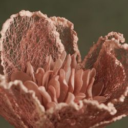 FLORA LYDIA FLEUR DENTELLE TRIPLE ROSE - HOME EDELWEISS