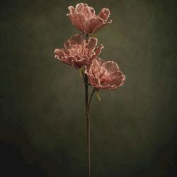 FLORA LYDIA FLEUR DENTELLE TRIPLE ROSE - HOME EDELWEISS