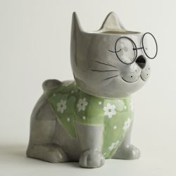 MAURICE CONTENANT CHAT LUNETTES 23CM  - HOME EDELWEISS