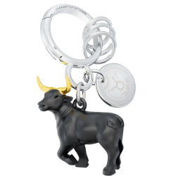 PORTE-CLÉS CHARMS SIGNE...