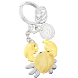 PORTE-CLÉS CHARMS SIGNE...