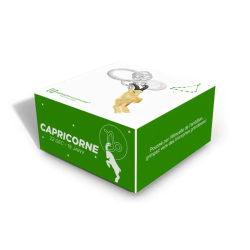 PORTE-CLÉS CHARMS SIGNE ASTROLOGIQUE CAPRICORNE - KONTIKI