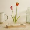 POEME BOUGEOIR DOUBLE TULIPE 22CM - HOME EDELWEISS