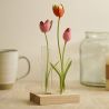 POEME  VASE SOLIFLORE TUBE TULIPE 24CM - HOME EDELWEISS