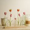 POEME  VASE SOLIFLORE TUBE TRIPLE TULIPE  - HOME EDELWEISS