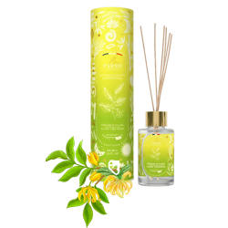 DIFFUSEUR BÂTONS TRESOR...