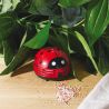 ASPIRATEUR DE TABLE COCCINELLE - LA CHAISE LONGUE DIFFUSION