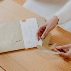 HIRONDELLES MURALES EN PAPIER - BLANC - LES PETITES HIRONDELLES