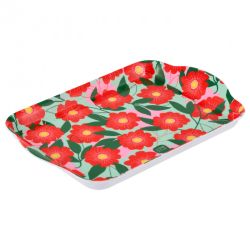 PLATEAU LYNDA - PASSIFLORE...