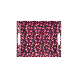 PLATEAU FELICIE - SAVEURS...