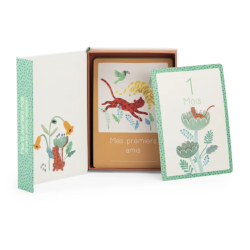 CARTES MES 12 PREMIERS MOIS...