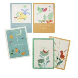 CARTES MES 12 PREMIERS MOIS - LA FORÊT MAWA - MOULIN ROTY