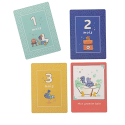 CARTES MES 12 PREMIERS MOIS - PUCE & PILOU - MOULIN ROTY