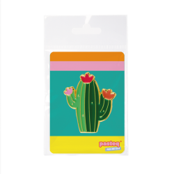PIN'S CACTUS - DERRIERE LA PORTE