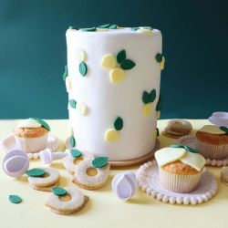 MOULE ALUMINIUM HAUT 18X10CM - SCRAPCOOKING