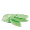 DECOS AZYMES 24 FEUILLES VERTES - SCRAPCOOKING