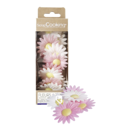 DÉCOS AZYMES 18 MARGUERITES...