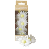 Décos azymes - 18 Marguerites blanches - SCRAPCOOKING