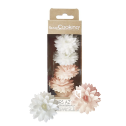 Décos azymes - 5 Dahlias...