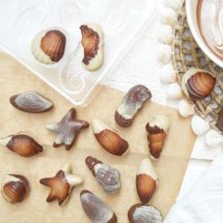 Moule rigide - Chocolat Fritures de Pâques - SCRAPCOOKING