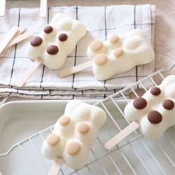 Moule silicone - Glace "Esquim'Ourson" - SCRAPCOOKING