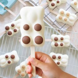 Moule silicone - Glace "Esquim'Ourson" - SCRAPCOOKING