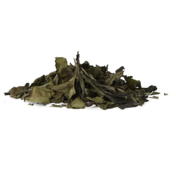 THÉ BLANC VANILLE - BOÎTE 15 INFUSETTES - QUAI SUD