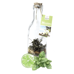 MOJITO - MÉLANGE À COCKTAIL...