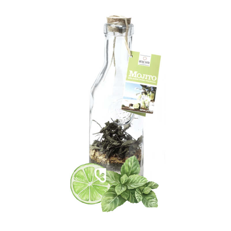 MOJITO - MÉLANGE À COCKTAIL EN CARAFE - QUAI SUD