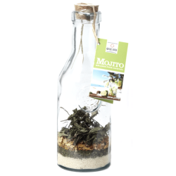 MOJITO - MÉLANGE À COCKTAIL EN CARAFE - QUAI SUD