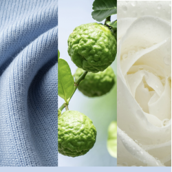 LA COUVERTURE DOUCE - FONDANT DE CIRE - YANKEE CANDLE