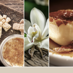 CRÈME BRÛLÉE À LA VANILLE - FONDANT DE CIRE - YANKEE CANDLE